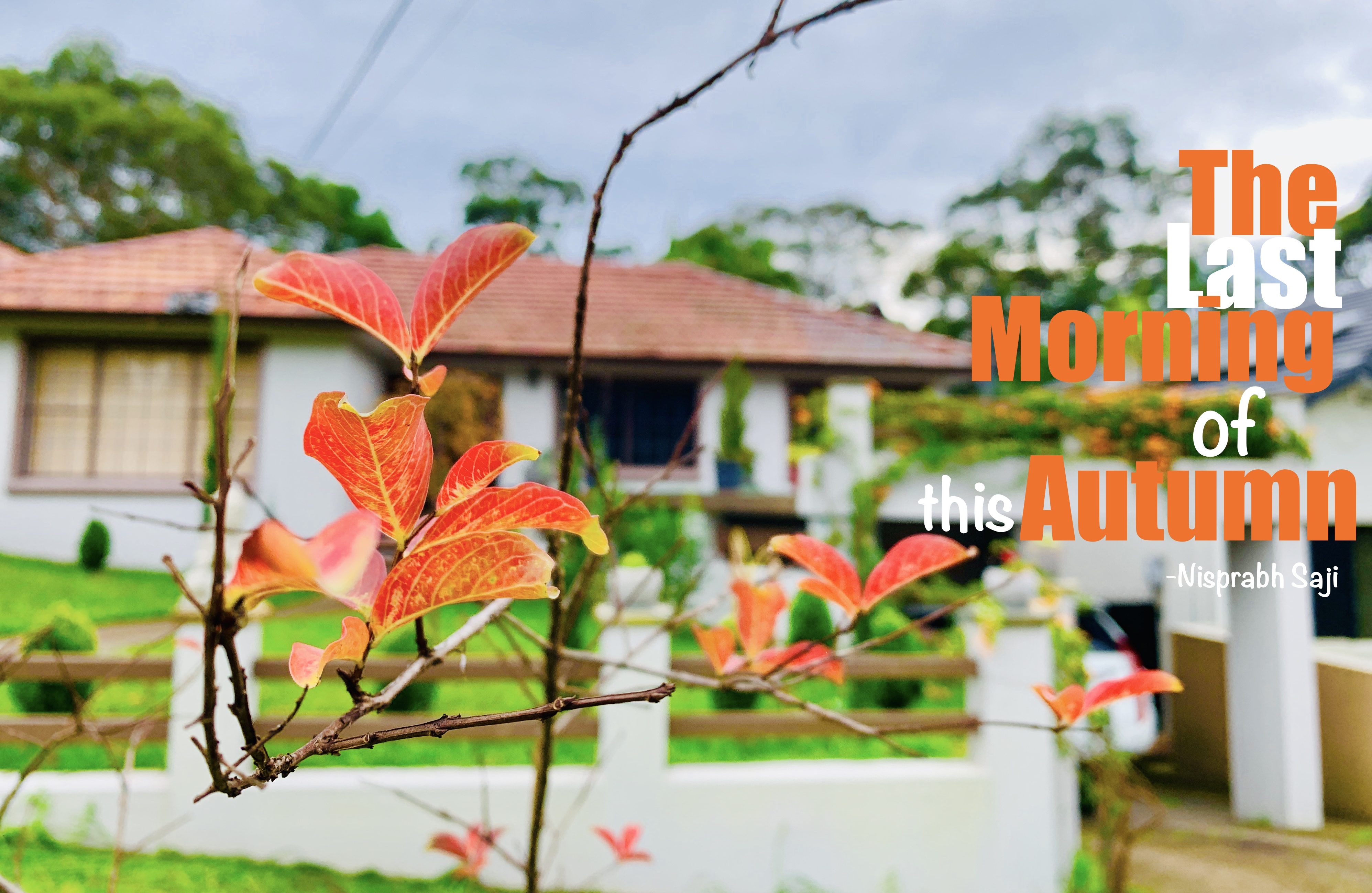 The Last Morning of this Autumn